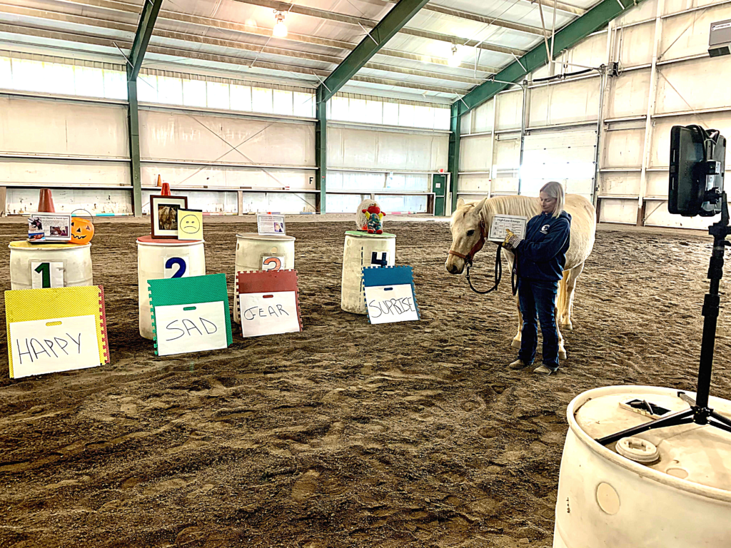 Virtual Services TREE House of Greater St. Louis